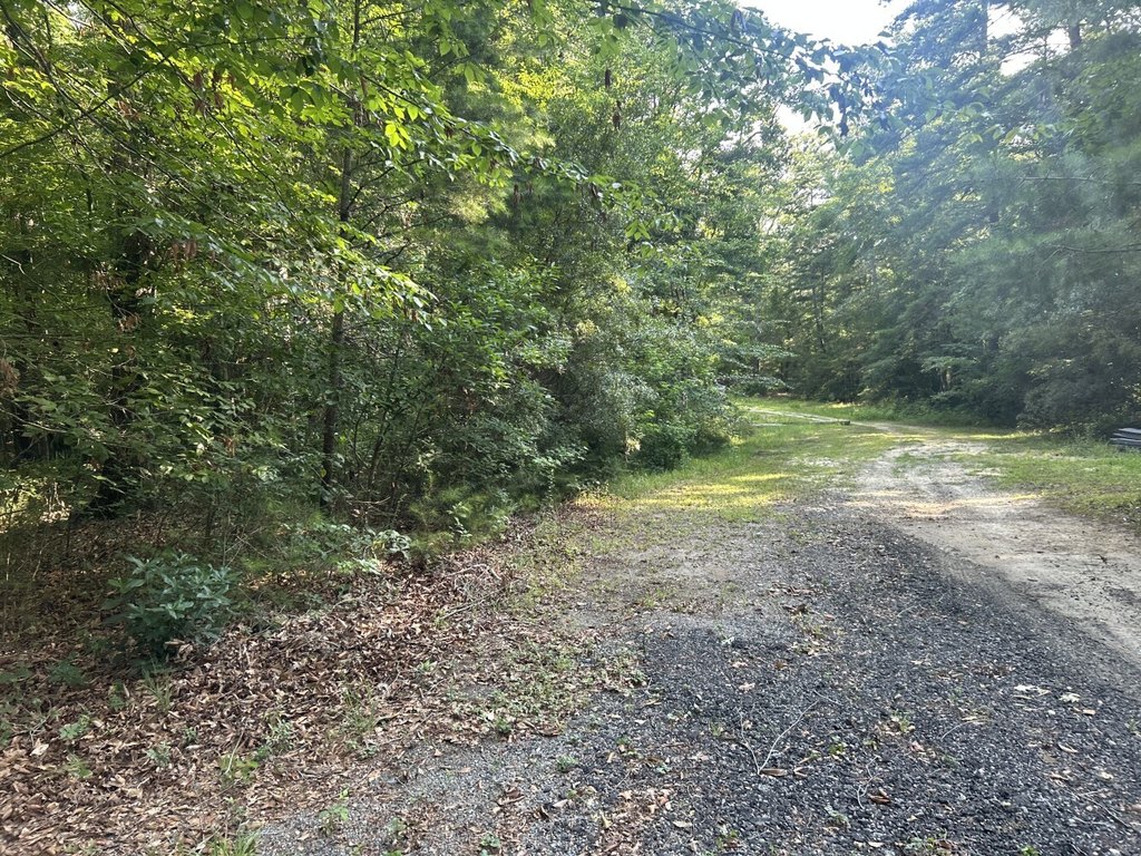 Picture 20