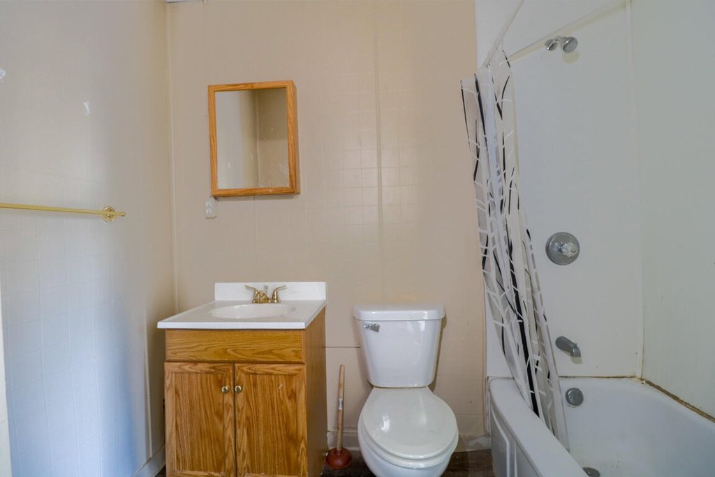 Picture 8