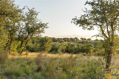 Texas Hill Country Land