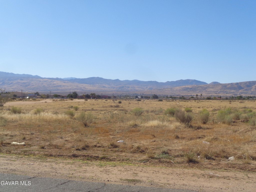 Picture 20