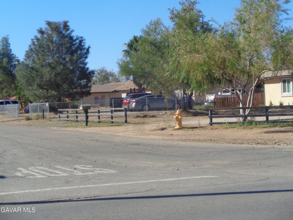 Picture 6