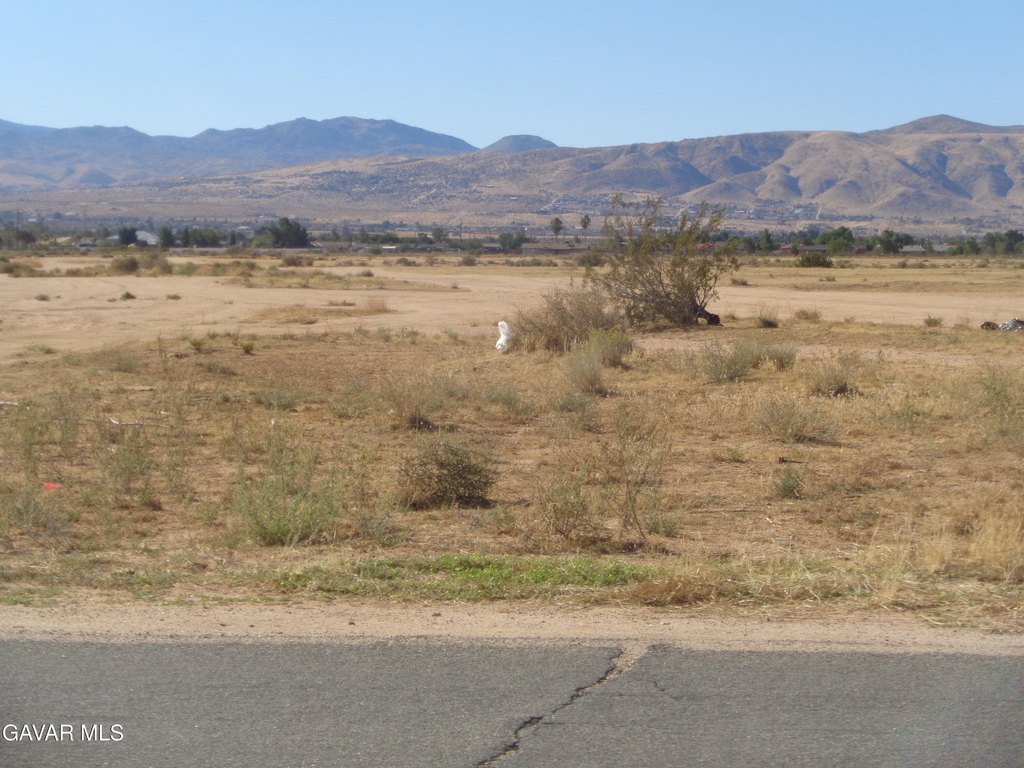 Picture 22