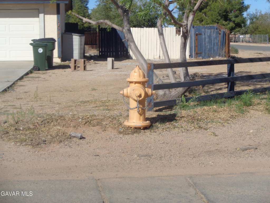 Picture 7