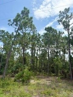 PUNTA GORDA, FL