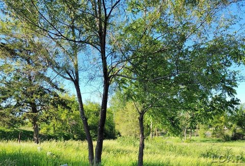 Onsted Canal Front Vacant Land