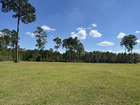 Lots/Land, Carriere, MS