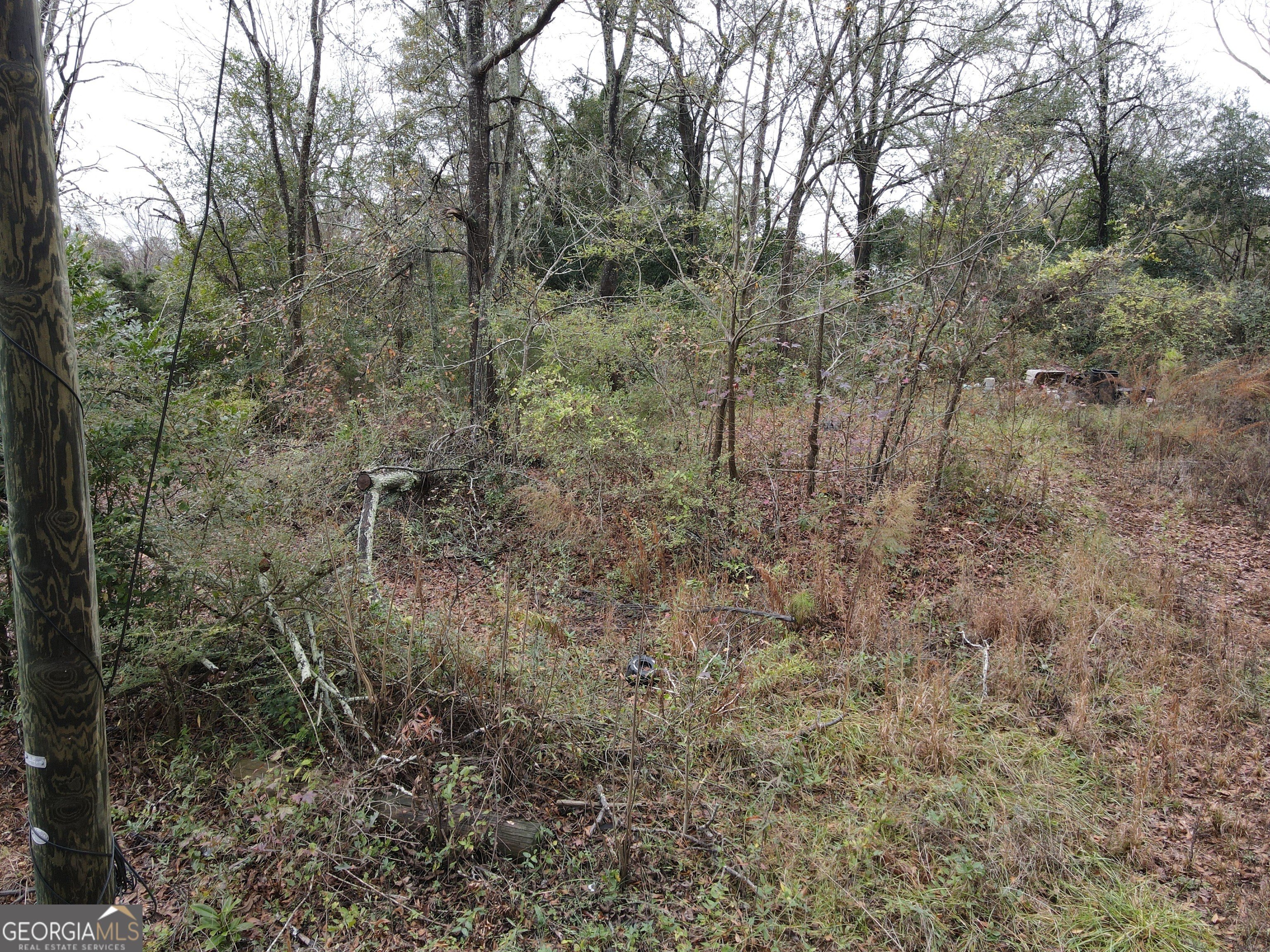 Griffin, GA Buildable Land