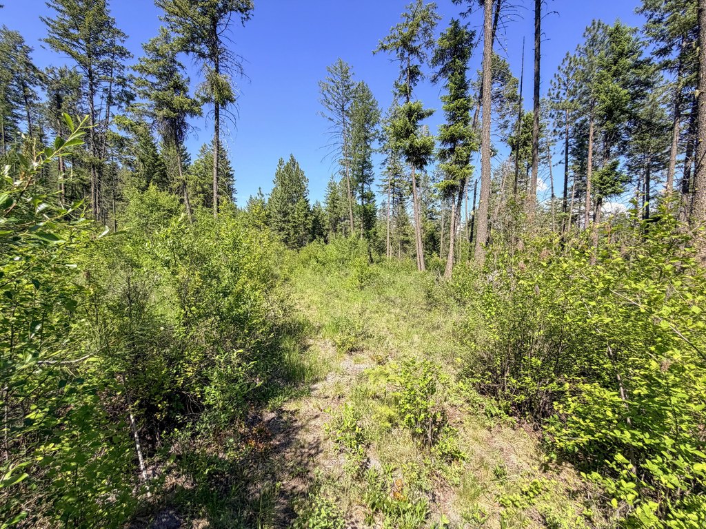Picture 14