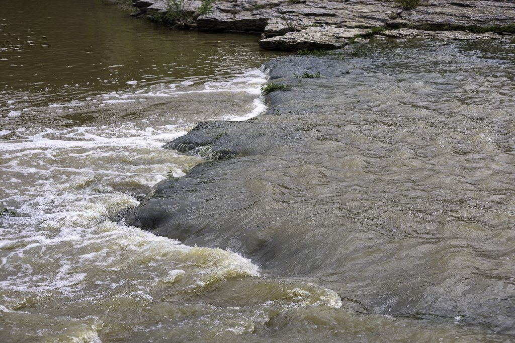 Picture 7
