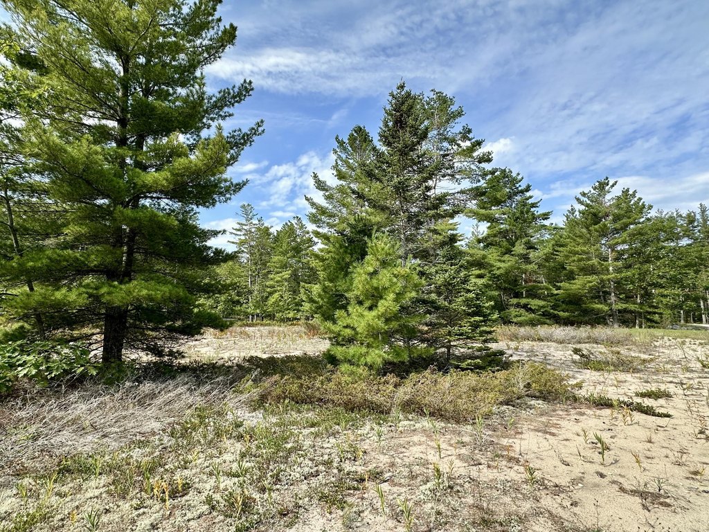 Picture 6