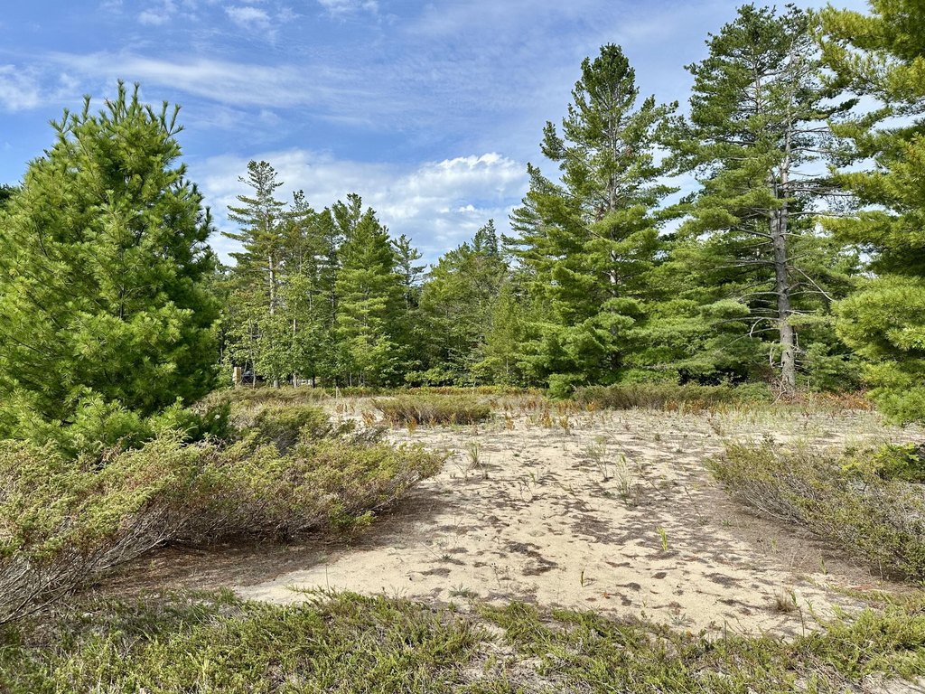 Picture 17