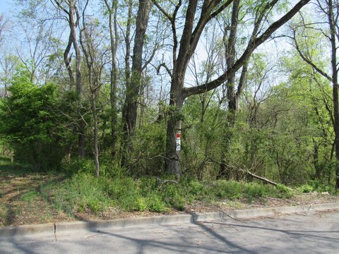 Kingsport City Lot For Sale