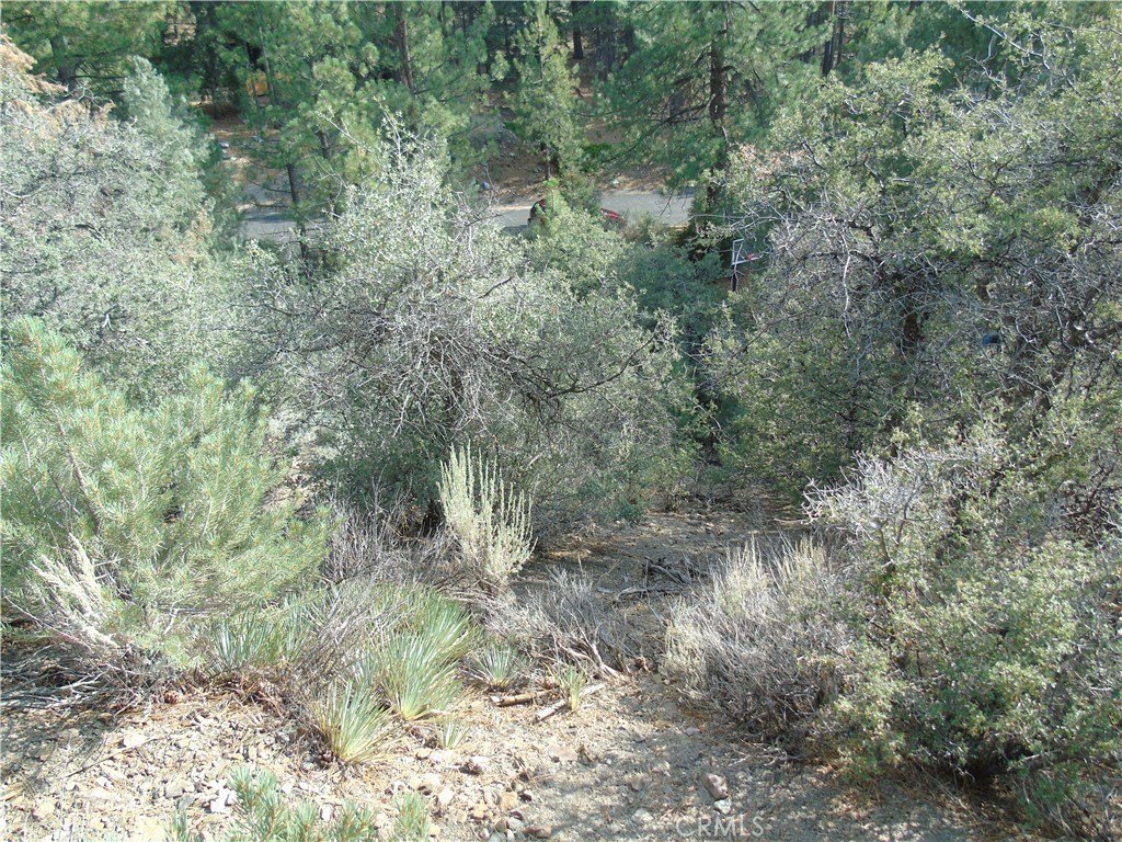 Picture 7