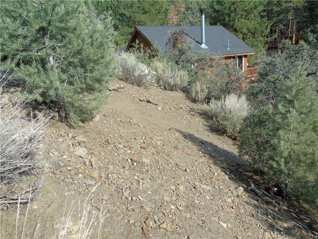 Picture 6