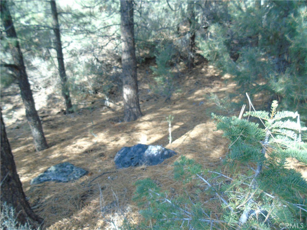 Picture 4