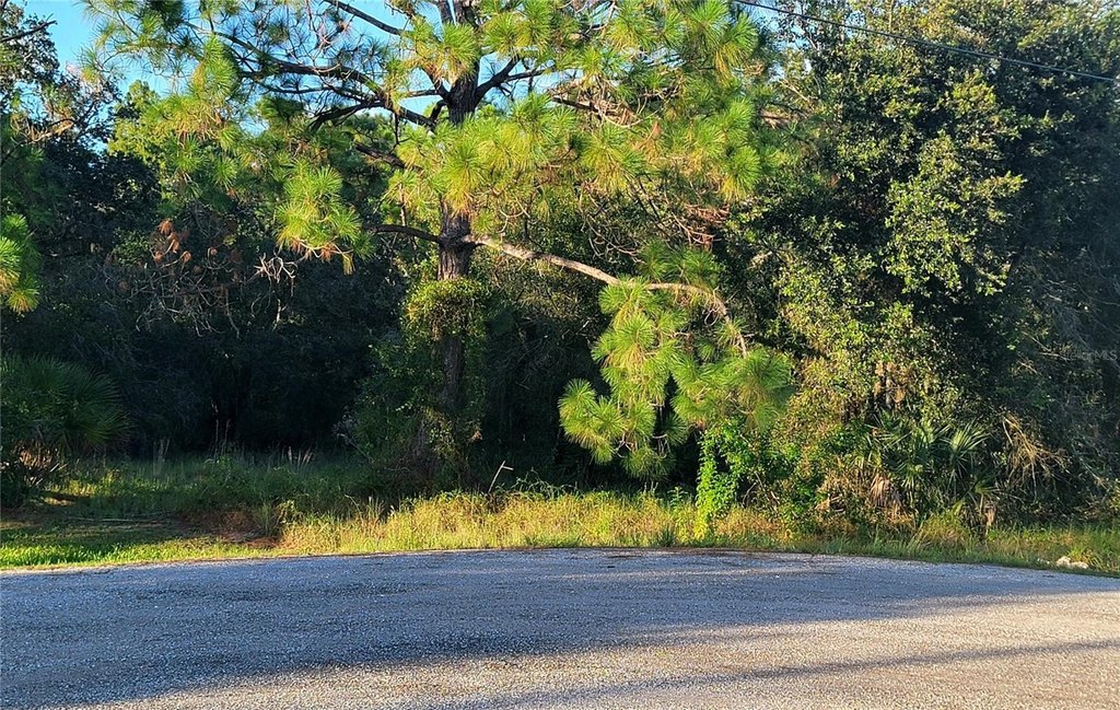 Picture 6