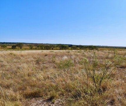Open Field Ranch Land