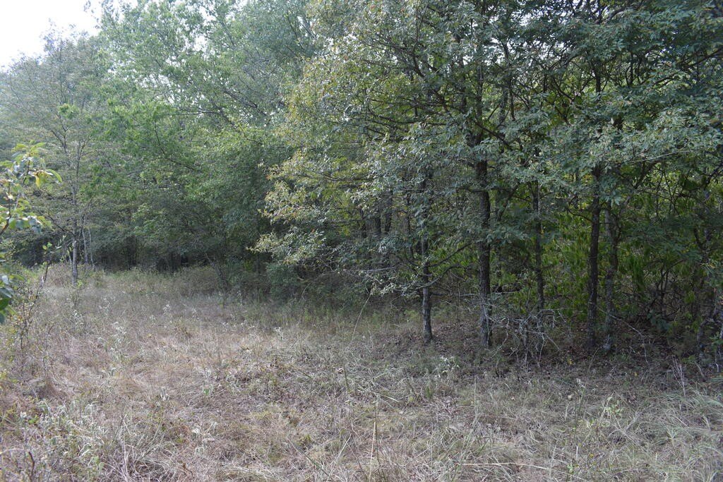 Picture 12