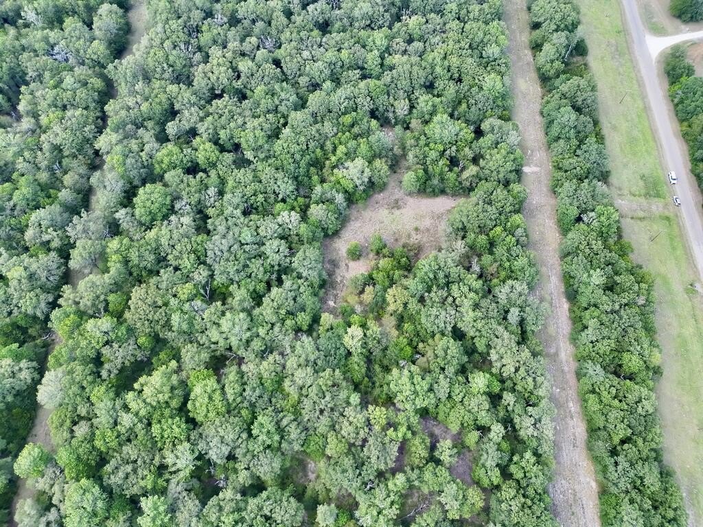 Picture 11