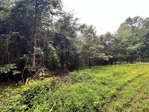 Residential Land Opportunity in Decatur
