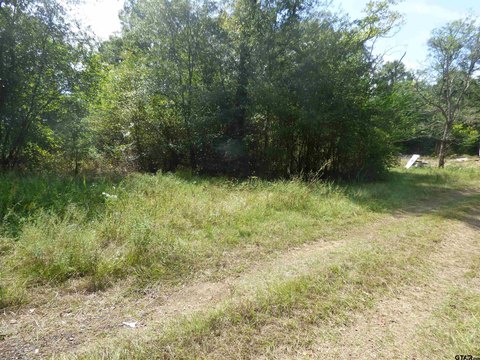 Land, Daingerfield, TX