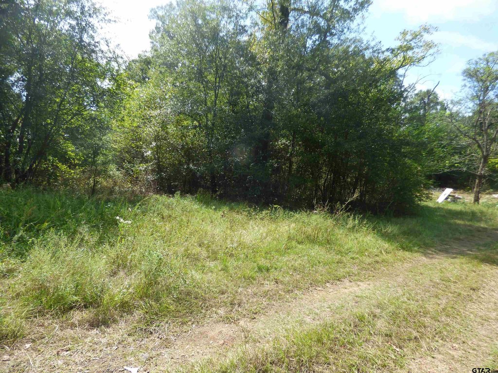 Picture 2
