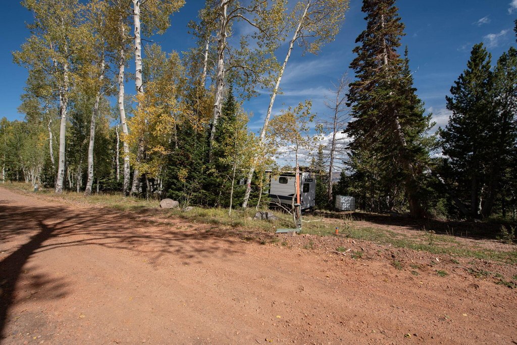 Picture 16