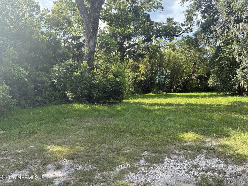 Picture 5