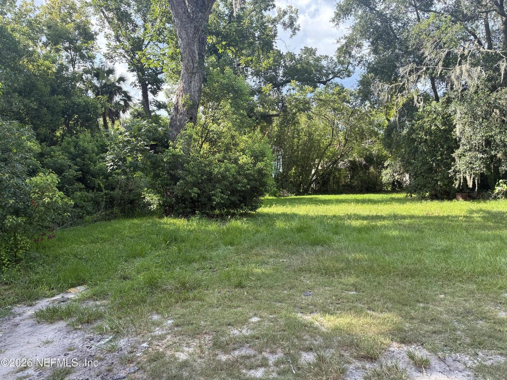 Picture 3