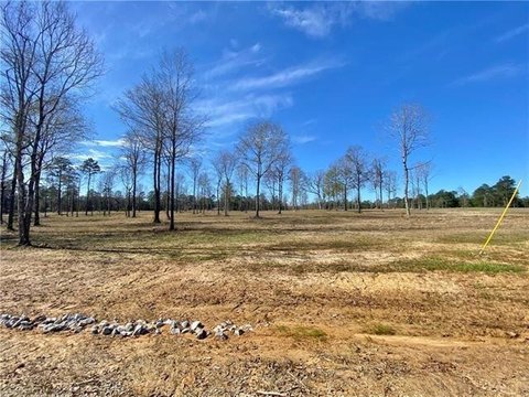 Land, Dry Prong, LA