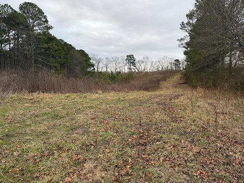 Ranburne, AL Land For Sale