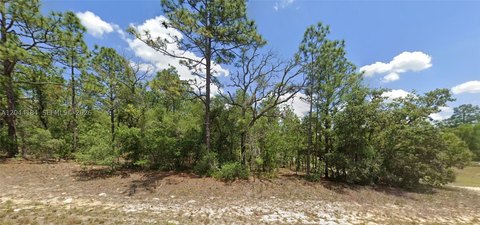 LAND - Citrus Springs, FL