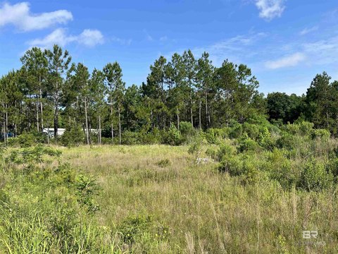 Two Acres in Gulf Shores