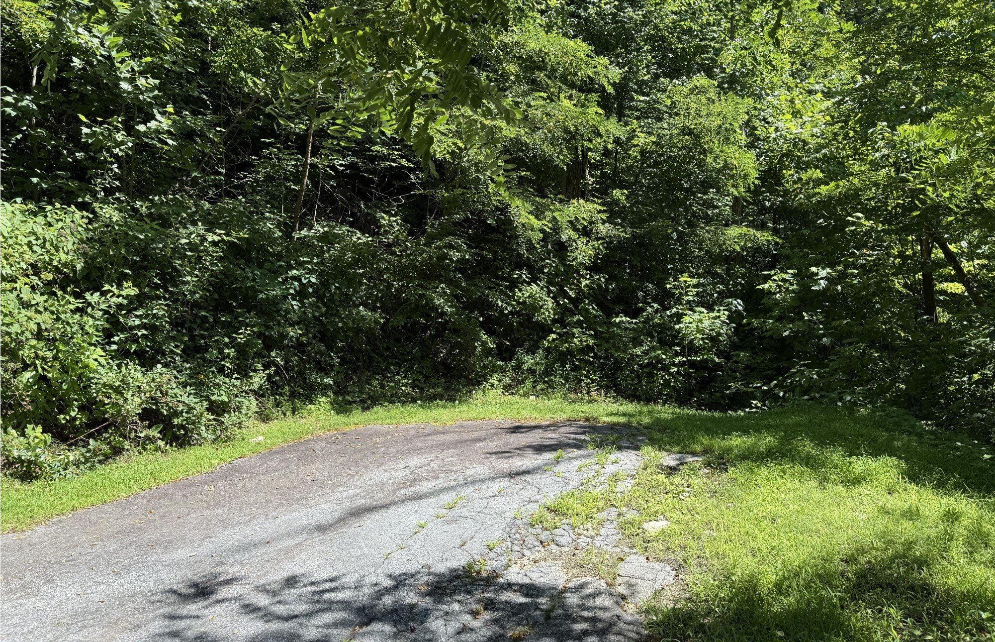Land in Tuckasegee, NC