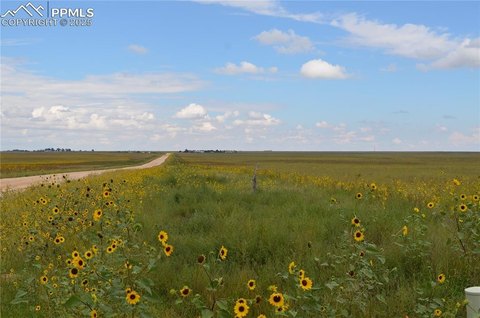 Colorado Ranch Land Opportunity