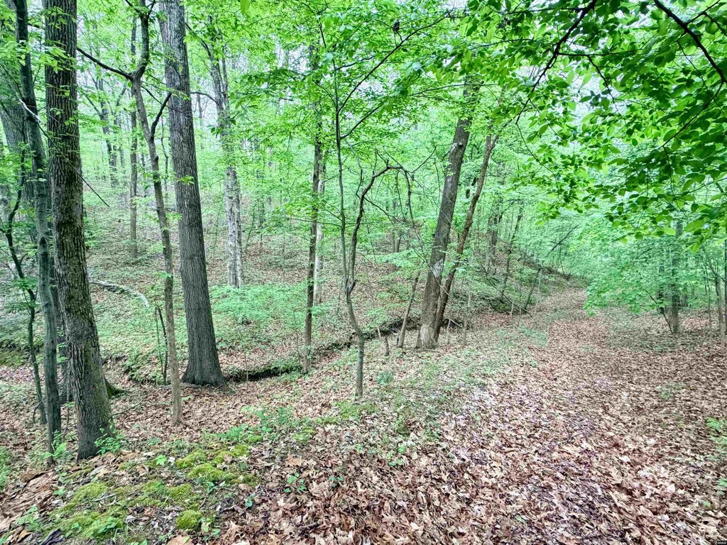 Picture 10