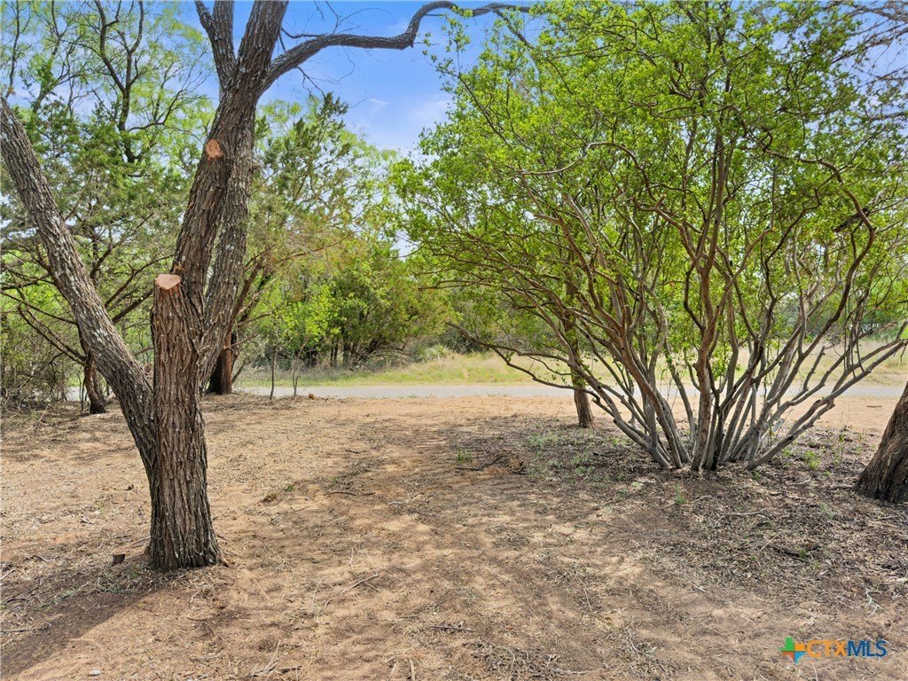 Picture 11