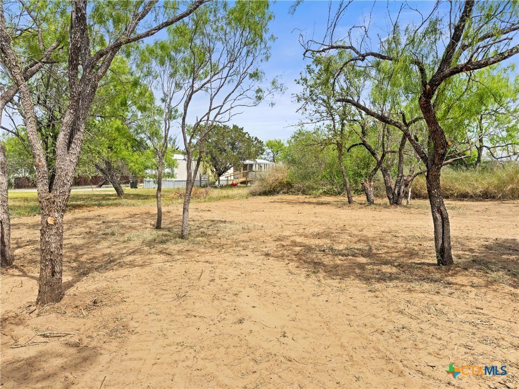 Picture 6
