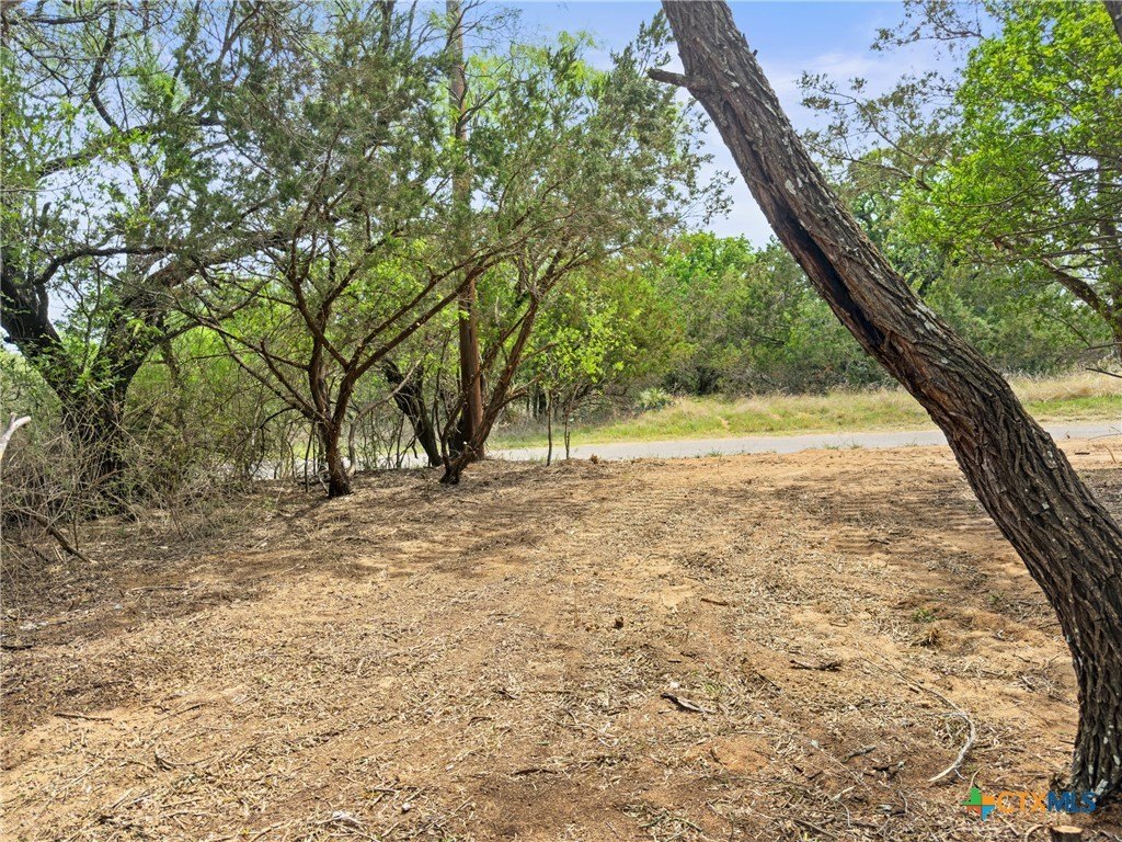 Picture 12