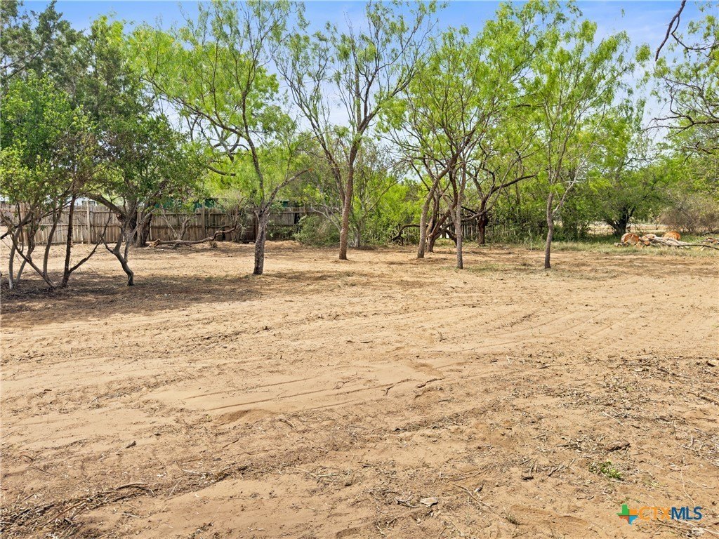 Picture 9