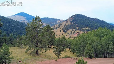 Cripple Creek Mountain Estates Land