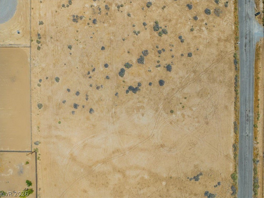 Picture 42