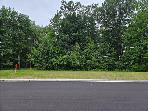 Wooded Land in Boyceville, WI