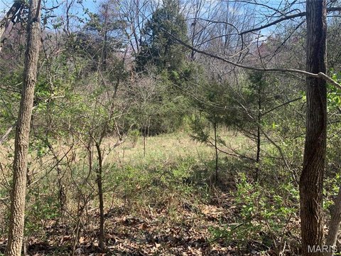 LAND - Wildwood, MO
