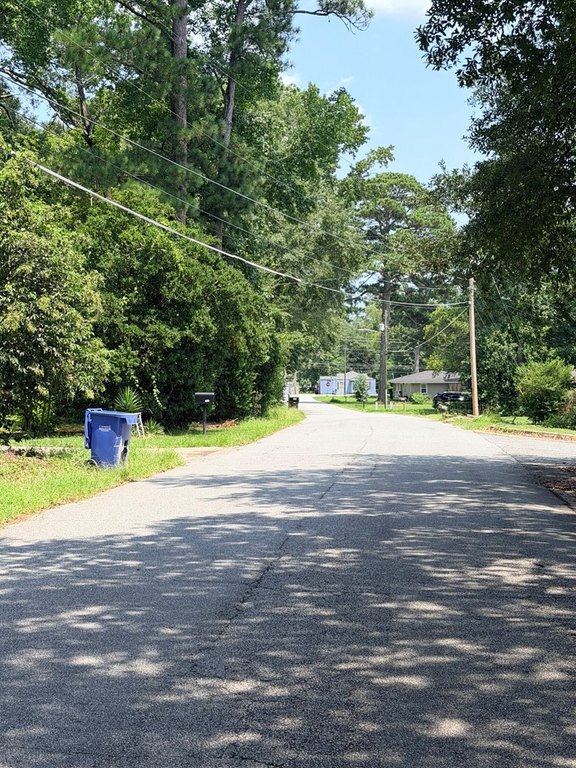 Picture 4