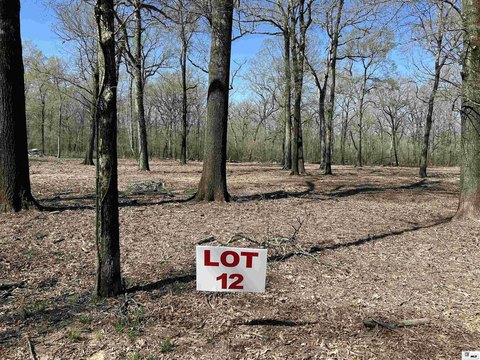 LAND - Marion, LA