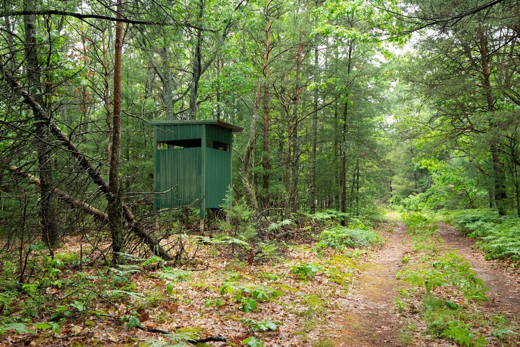 Picture 9