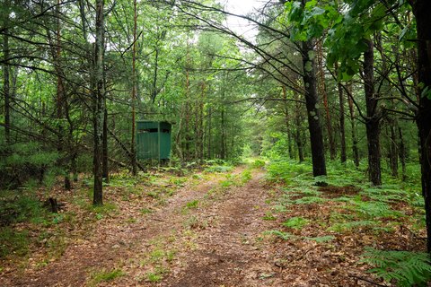 Buildable Hunting Land Tract