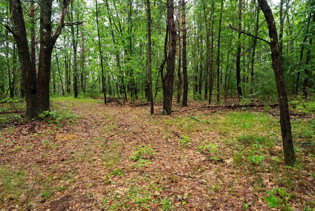 Picture 40