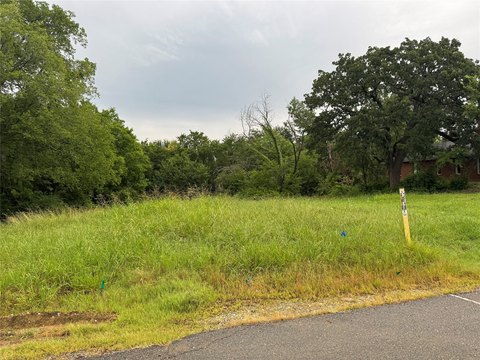 Level, Mostly Cleared Homesite